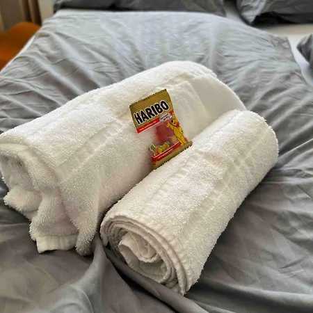 公寓 Check-in Central 4-bedroom 100m2 斯图加特